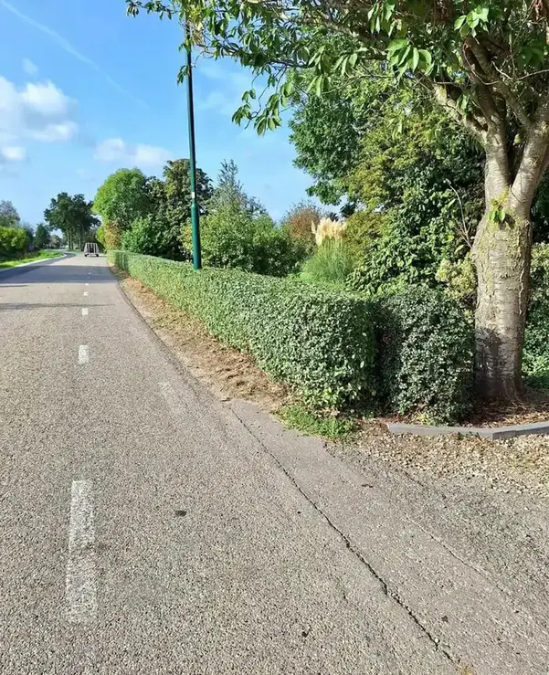 Tuinwerk van de With tuinaanleg & onderhoud, foto 6